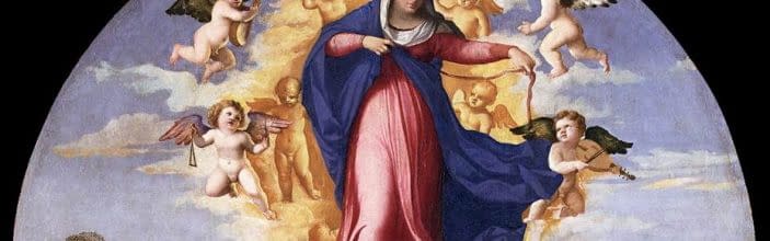 Feast of the Assumption of Our Lady – Mass Times, Auckland, New Zealand